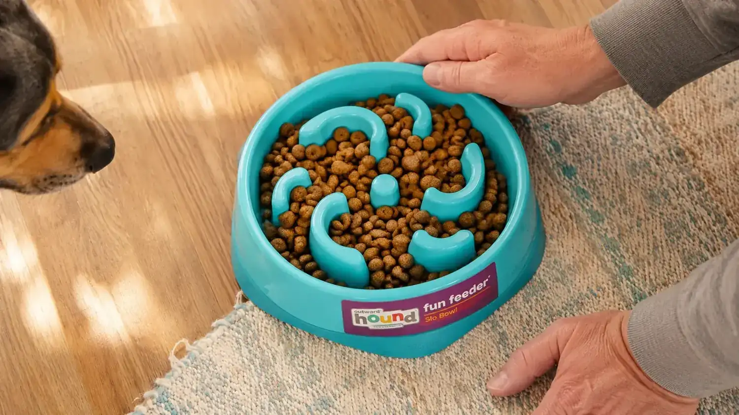 Close-up of kibble nestled in the ridges and channels of the Outward Hound Fun Feeder Slo Bowl