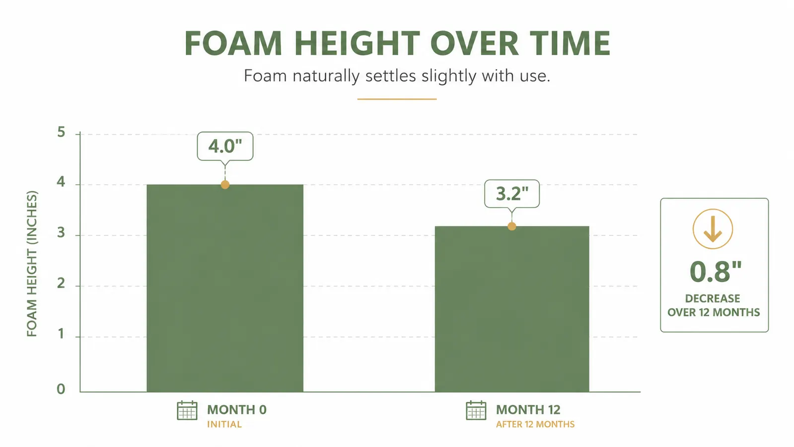 Side-by-side comparison chart showing foam height at 0 months versus 12 months of use