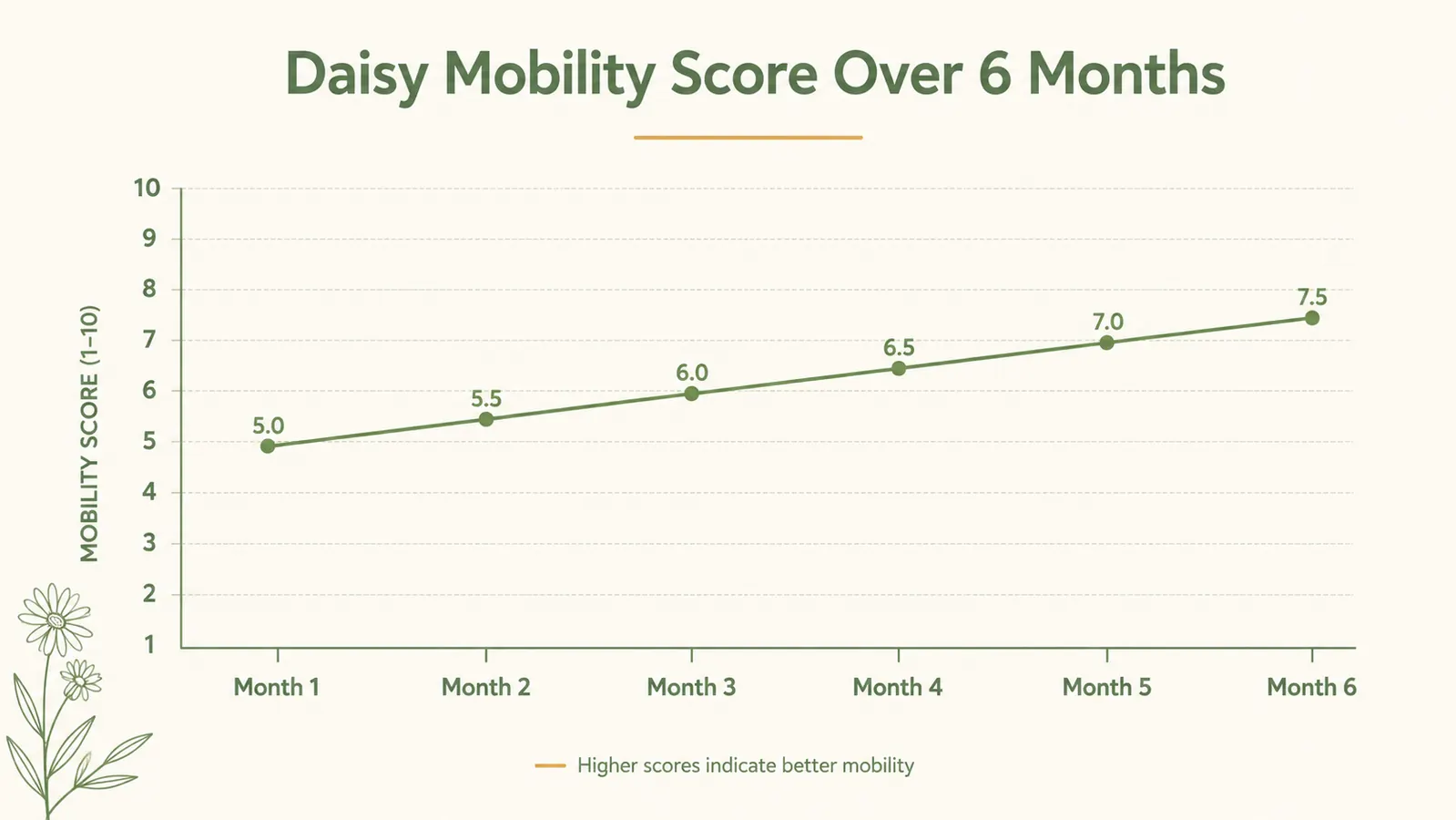 Chart showing a senior dog mobility score tracked over six months after switching to a memory foam orthopedic bed