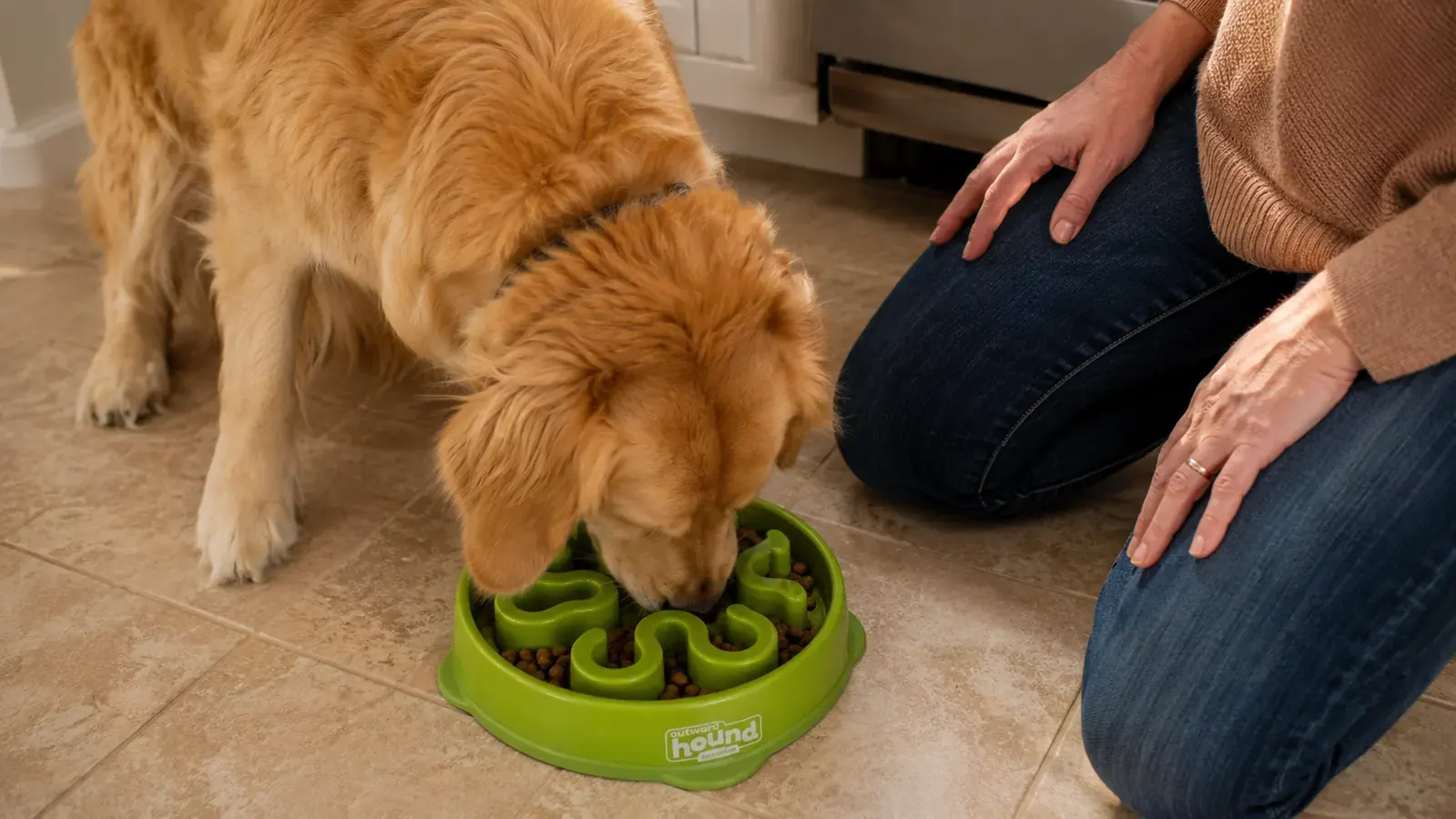 Close-up of a dog eating kibble from an Outward Hound Fun Feeder slow bowl with maze ridges