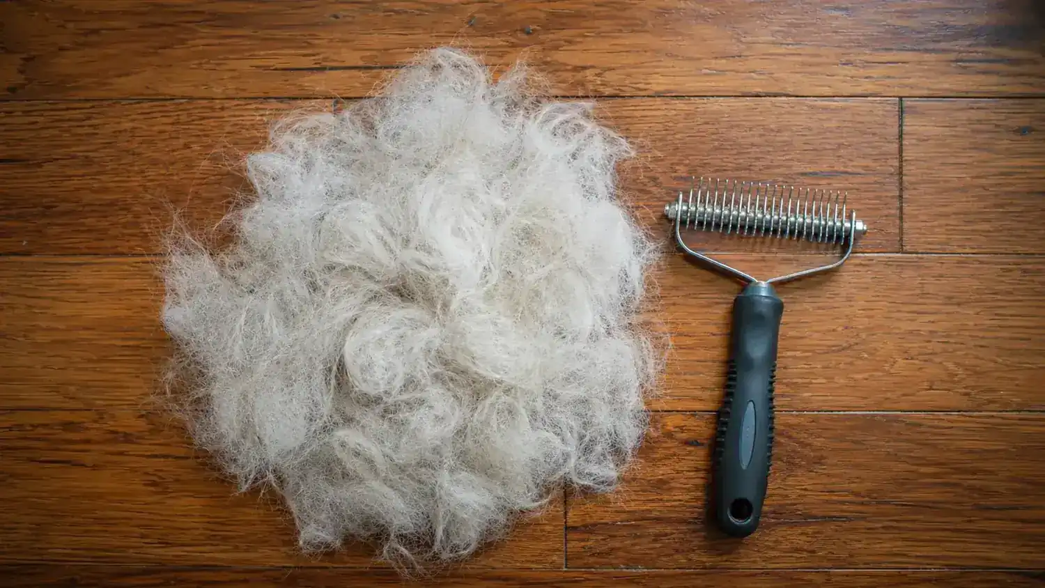 Pile of collected dog fur next to a grooming rake on a hardwood floor