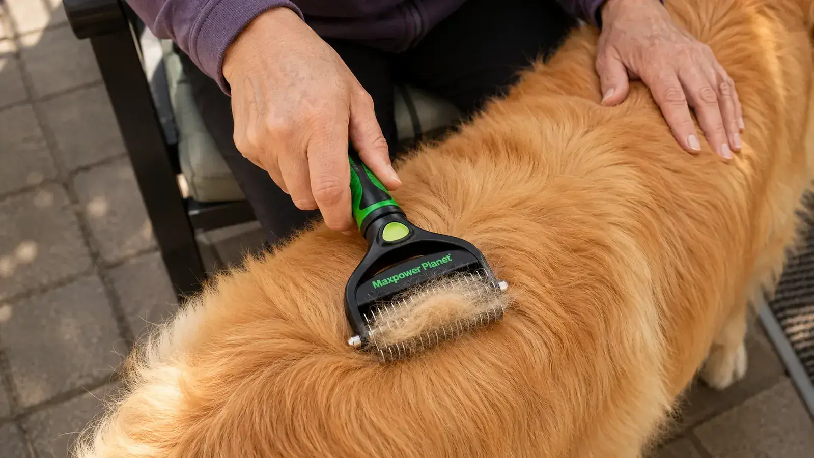 Close-up of a double-sided pet grooming rake being drawn through a golden retriever's thick coat, pulling a clump of loose undercoat